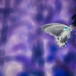 Mariposas: modelo para la industria aeronáutica