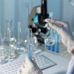 Validez de criterio en investigación científica